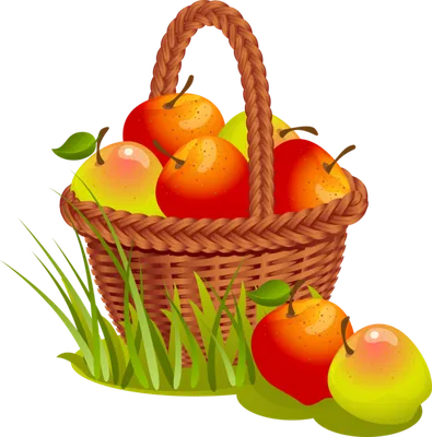 Basket Basket png download - 2000*2000 - Free Transparent Basket png  Download. - CleanPNG / KissPNG