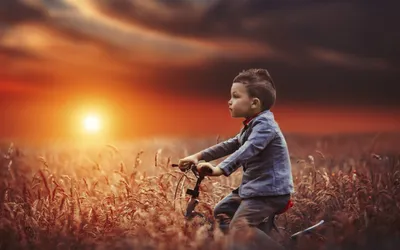Мальчик на велосипеде стоковое изображение. изображение насчитывающей  велосипед - 32907127