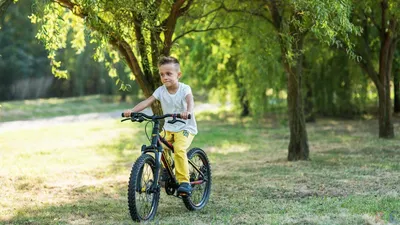Мальчик на велосипеде, иллюстрация, вектор на белом фоне . Векторное  изображение ©Morphart 317575634