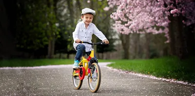 Мальчик На Велосипеде В Парке Стоковые Фотографии | FreeImages