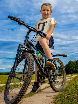 Мальчик на велосипеде BMX в парке :: Стоковая фотография :: Pixel-Shot  Studio