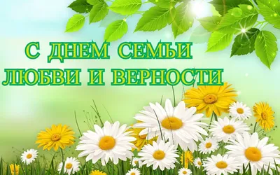 День семьи, любви и верности на Бородинском поле - Бородино