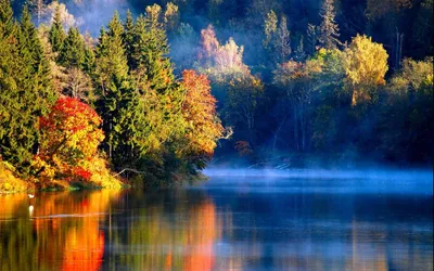 Природа, осень, деревья, озеро, туман обои для рабочего стола, картинки,  фото, 1920x1200.
