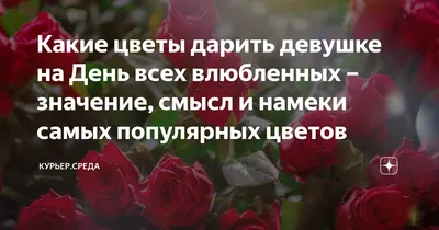 Букет \"Яркий намёк\" - купить в Минске с доставкой, цена и фото в  интернет-магазине Cvetok.by