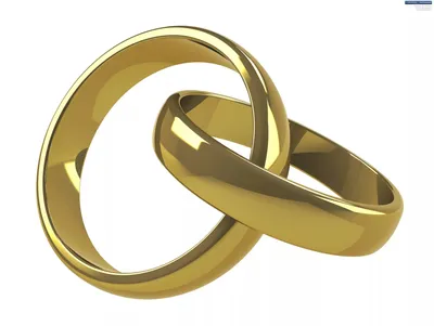 установить золотые и серебряные обручальные кольца на прозрачном фоне 3d  изолированная векторная иллюстрация Иллюстрация вектора - иллюстрации  насчитывающей супруг, приглашение: 253743654