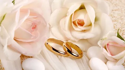 Набор векторных свадебные золотые и серебряные кольца, изолированные на прозрачном  фоне | Премиум векторы