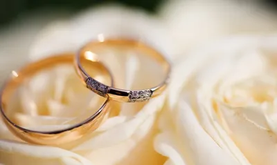 Элегантные золотые обручальные кольца union с орнаментом на прозрачном фоне  | Премиум PSD Файл