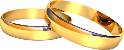 золотые обручальные кольца для фотошопа