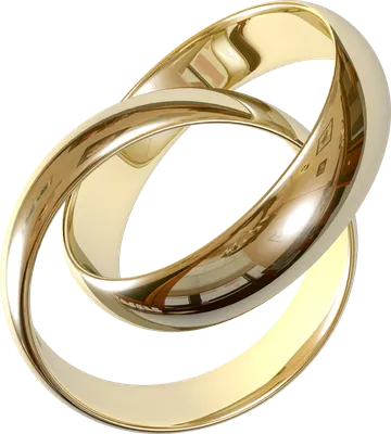 Комплект обручальных колец из серебра, золота: стоковая векторная графика  (без лицензионных платежей), 763330864 | Shutterstock