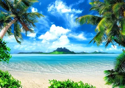 Картинка остров с пальмой фотографии