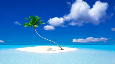 Остров с пальмой стоковое изображение. изображение насчитывающей оазис -  26496481