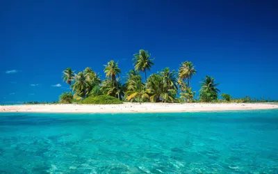 Красивый остров с пальмами и пляжем ai | Премиум Фото