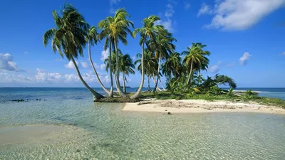 Остров, пальмы и песок обои для рабочего стола, картинки и фото -  RabStol.net
