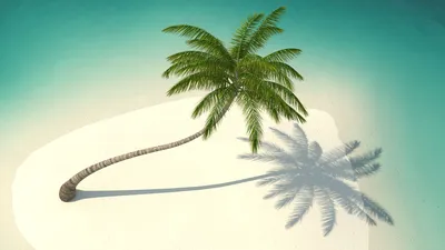 Тропический Остров С Пальмами — стоковые фотографии и другие картинки  Необитаемый остров - Необитаемый остров, Пальма, Остров - iStock