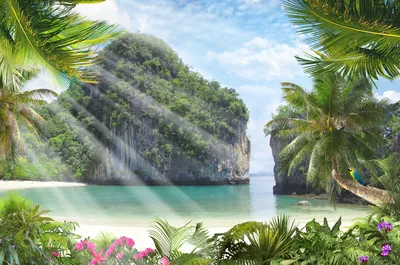 Маленький остров острова Окруженный водой Кокосовая пальма PNG , клипарт  кокосовой пальмы, море, морская вода PNG картинки и пнг PSD рисунок для  бесплатной загрузки