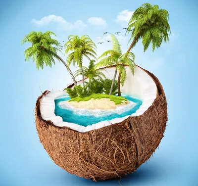 Тропический Остров С Пальмой И Черепахой — стоковая векторная графика и  другие изображения на тему Пальма - Пальма, Пляж, Тропический климат -  iStock