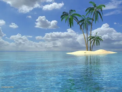 Купить фотообои Райский остров с пальмами на стену: цены, фото, каталог -  интернет-магазин «LIKE»