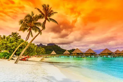 Необитаемый остров с пальмой на пляже Стоковое Фото - изображение  насчитывающей природа, кокос: 35138358