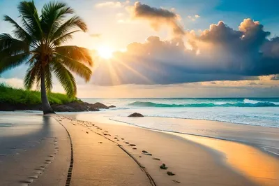 Пляж с пальмами и закатом | Премиум Фото