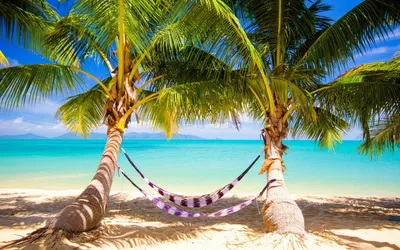 Тропический пляж с пальмами, каникулы песка на море Стоковое Изображение -  изображение насчитывающей пейзаж, никто: 144653031