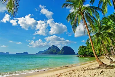 Пляж Le Morne на Маврикии, тропический пляж с пальмами и белым песком  голубой океан и пляжные кровати с зонтиком, шезлонги и зонтик под пальмой в  тропической красоте, пляж Le Morne на Маврикии