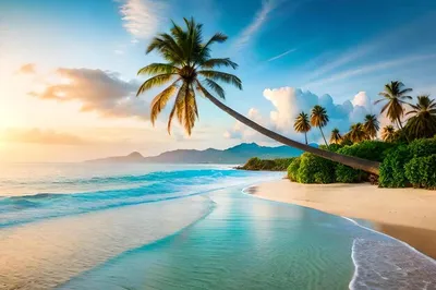 Пляж. пальмы, море, высокое …» — создано в Шедевруме