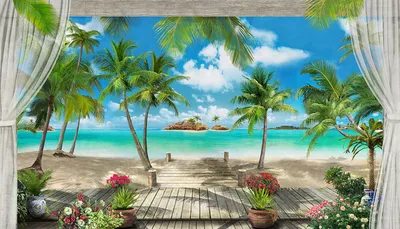 Картинки Пляж Природа Небо пальма облачно
