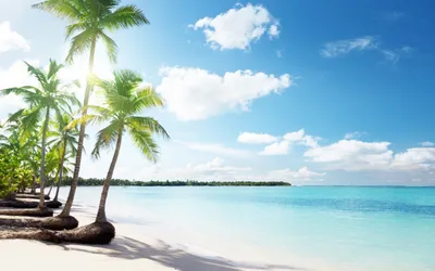 Взгляд пляжа с пальмами в Puerto Viejo De Talamanca, Коста-Рика Стоковое  Изображение - изображение насчитывающей сценарно, взгляд: 82199695