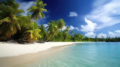 тропический пляж с пальмами Стоковое Фото - изображение насчитывающей  перемещение, небо: 221952598