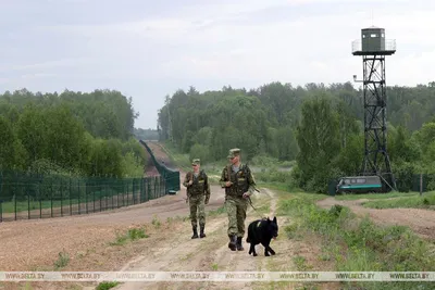 С Днем пограничника 28 мая: 10 доблестных поздравлений в стихах и прозе  защитникам рубежей | Курьер.Среда | Дзен