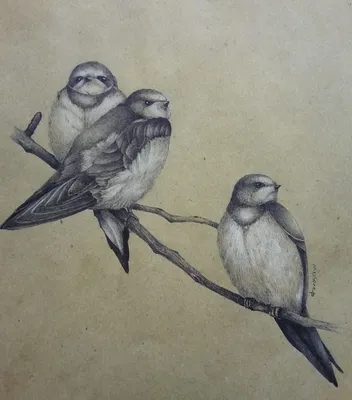 Детский рисунок птички на ветке - 68 фото