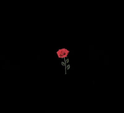 Роза на черном фоне» — создано в Шедевруме