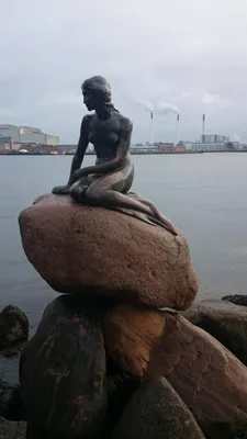 Русалка на камне - Изображение The Little Mermaid, Копенгаген - Tripadvisor