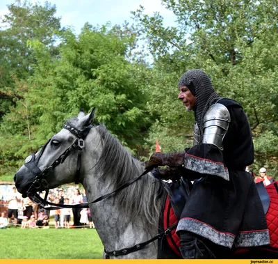 Средневековый Рыцарь На Коне Стоковые Фотографии | FreeImages