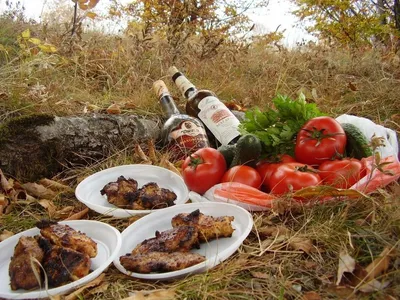 ✓ За шашлыки на природе — штраф! - Новости Коломны