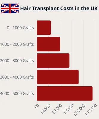 ProTek 1000 Dive, 2000 Dive, and 3000 Field - The Time Bum