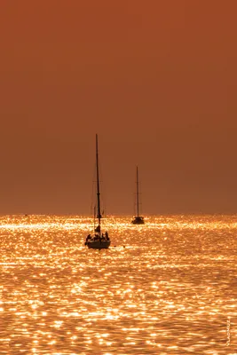 HD-фото силуэтов яхт с мачтами на фоне моря в теплых тонах (2000 на 3000  пикселей)