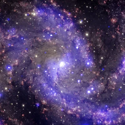 Файл:NGC 6946.jpg — Википедия