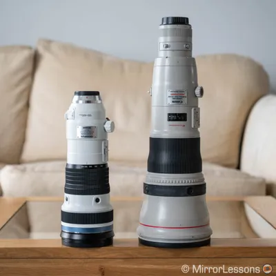 Olympus 150-400mm f4.5 Pro Review (vs Canon 800mm f5.6) - Mirrorless  Comparison