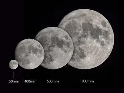 Four 100-400 tele zooms compared | JuzaPhoto