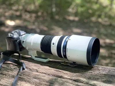 Olympus 150-400mm f4.5 Pro Review