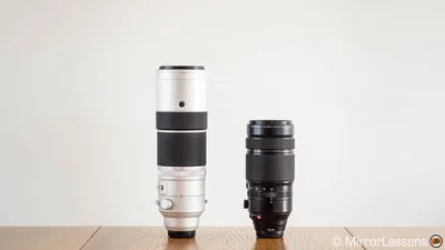 Sigma 100-400mm or 150-600mm: Which Should You Buy? - Light And Matter