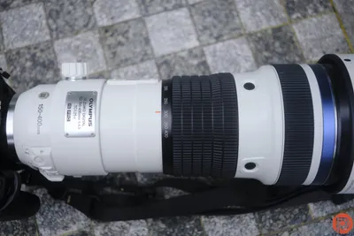 Olympus 150-400mm f/4.5 Lens Review for Wildlife Photography - Nature TTL