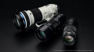 M.Zuiko 150-400 Pro Zoom - Small Sensor Photography by Thomas Stirr