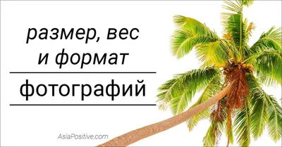 Одновременное изменение размера нескольких изображений онлайн