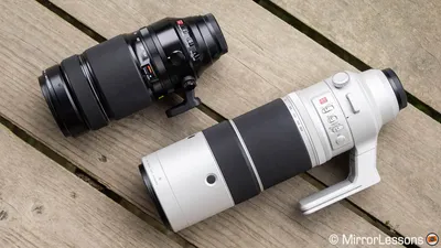 Fujifilm 100-400mm vs 150-600mm - The Full Comparison - Mirrorless  Comparison