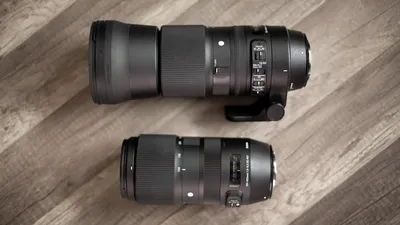Sigma 100-400mm or 150-600mm: Which Should You Buy? - Light And Matter