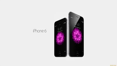 Обои apple, iPhone, iPhone X, iPhone XR, яблоко - картинка на рабочий стол  и фото бесплатно