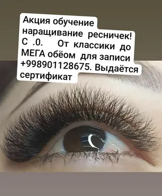 Акция в августе \"Знакомство с мастером \" Наращивание ресниц классика и 2д  за 1000 рублей | ВКонтакте