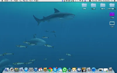 Mac App Store] Акулы 3D – превращаем Mac в аквариум с хищниками |  AppleInsider.ru